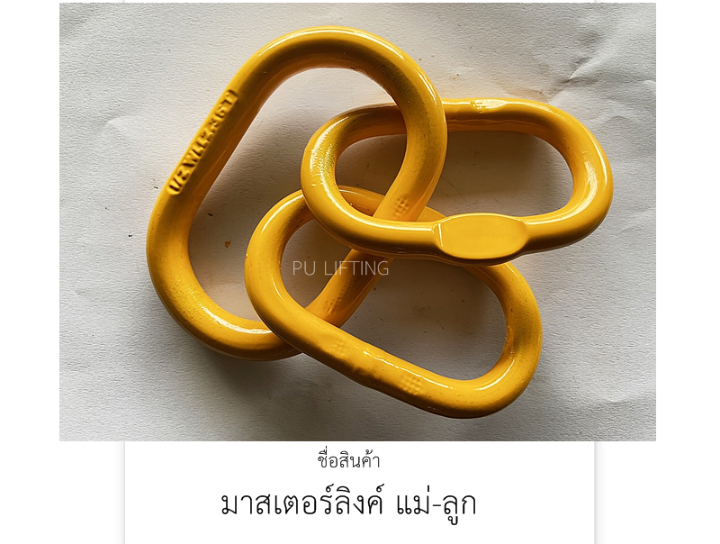มาสเตอร์ลิงค์ แม่-ลูก